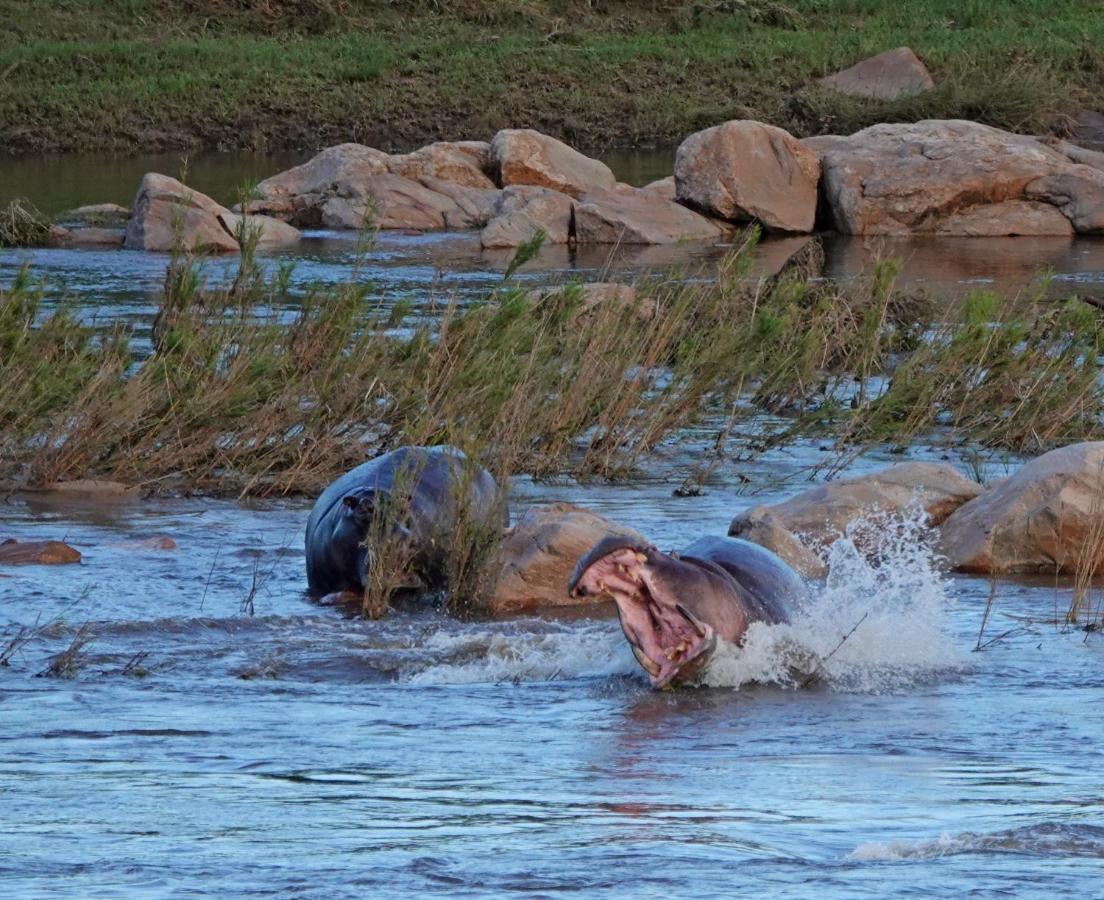 Kruger River Holiday Home Marloth Park Dış mekan fotoğraf