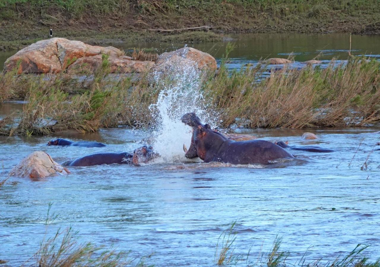 Kruger River Holiday Home Marloth Park Dış mekan fotoğraf