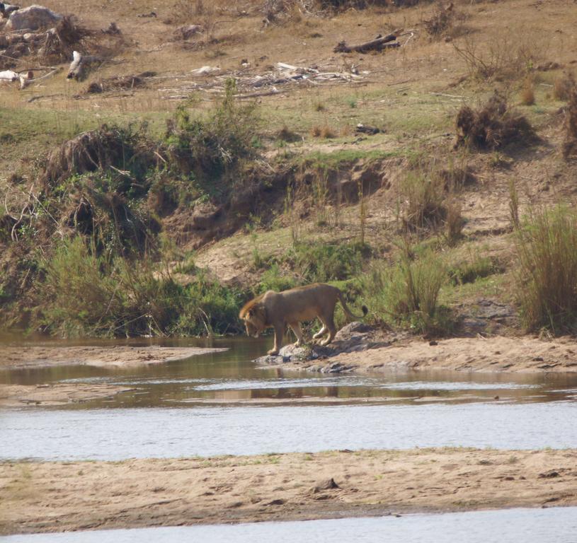 Kruger River Holiday Home Marloth Park Dış mekan fotoğraf