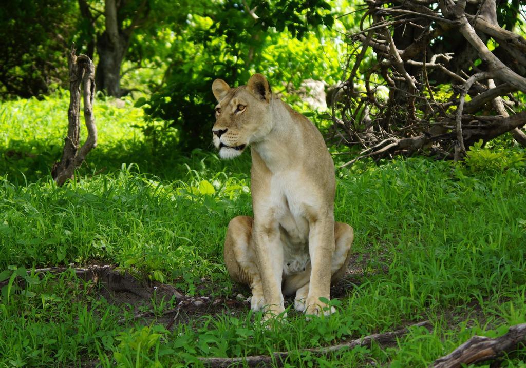 Kruger River Holiday Home Marloth Park Dış mekan fotoğraf