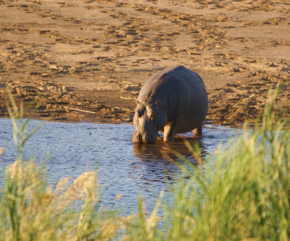 Kruger River Holiday Home Marloth Park Dış mekan fotoğraf