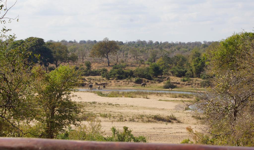 Kruger River Holiday Home Marloth Park Dış mekan fotoğraf